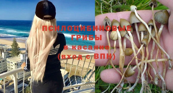 прущая мука Карпинск