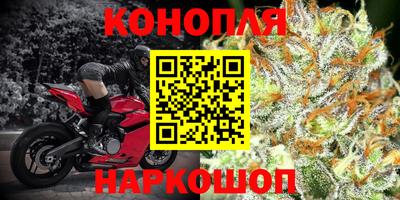 a pvp Гусев