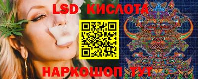 a pvp Гусев