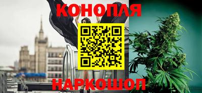 шишки Гусь-Хрустальный