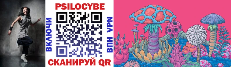 Галлюциногенные грибы Magic Shrooms  Свободный 