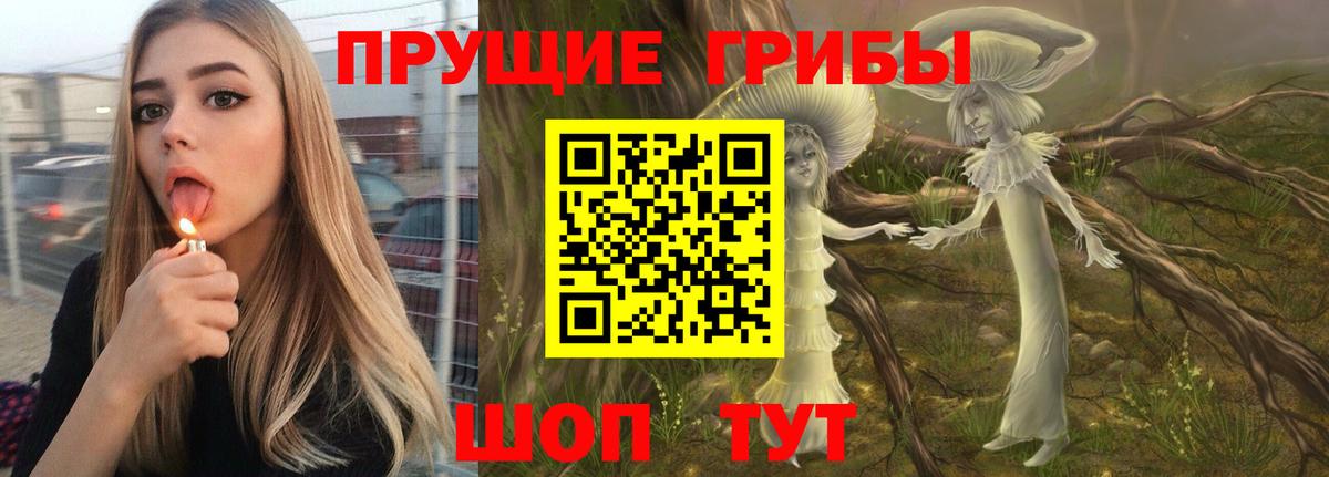 Галлюциногенные грибы GOLDEN TEACHER  Псилоцибиновые грибы мицелий  Вход с VPN  как найти закладки  Свободный 