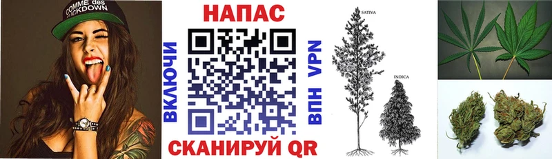 Шишки марихуана OG Kush Свободный